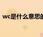 wc是什么意思的缩写中文（wc是什么意思）