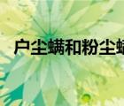 户尘螨和粉尘螨过敏是什么意思（户尘螨）