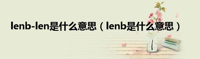 lenb-len是什么意思（lenb是什么意思）