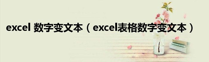 excel 数字变文本（excel表格数字变文本）