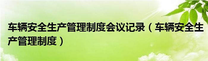 车辆安全生产管理制度会议记录（车辆安全生产管理制度）