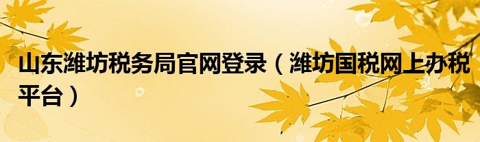 山东潍坊税务局官网登录（潍坊国税网上办税平台）