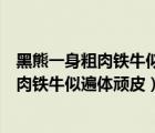 黑熊一身粗肉铁牛似遍体顽皮是水浒传中的谁（黑熊一身粗肉铁牛似遍体顽皮）