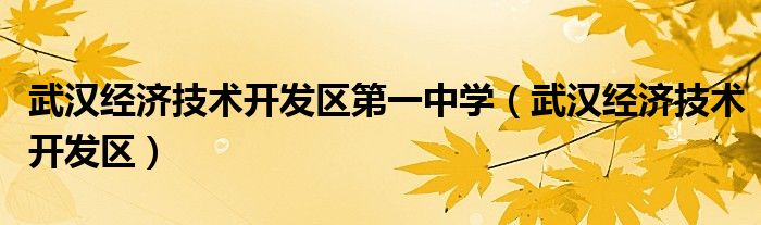 武汉经济技术开发区第一中学（武汉经济技术开发区）