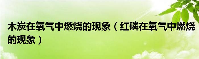 木炭在氧气中燃烧的现象（红磷在氧气中燃烧的现象）