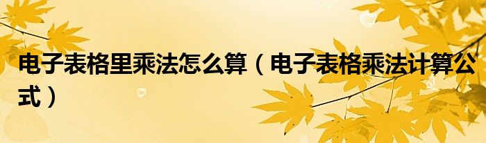 电子表格里乘法怎么算（电子表格乘法计算公式）