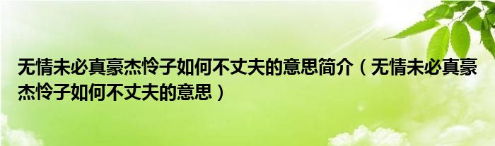 无情未必真豪杰怜子如何不丈夫的意思简介（无情未必真豪杰怜子如何不丈夫的意思）