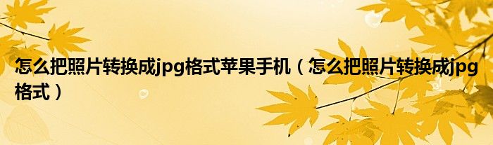 怎么把照片转换成jpg格式苹果手机（怎么把照片转换成jpg格式）