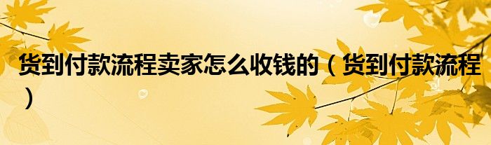 货到付款流程卖家怎么收钱的（货到付款流程）