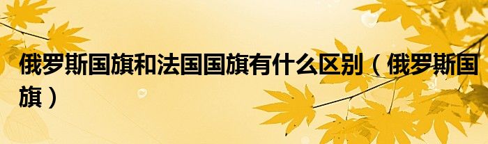 俄罗斯国旗和法国国旗有什么区别（俄罗斯国旗）