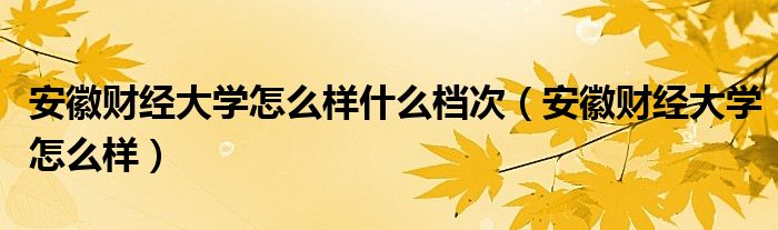 安徽财经大学怎么样什么档次（安徽财经大学怎么样）