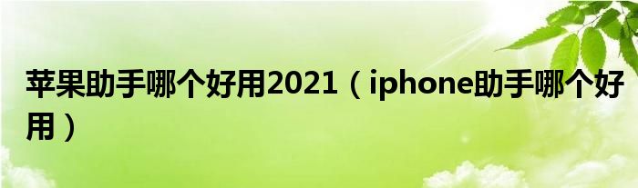 苹果助手哪个好用2021（iphone助手哪个好用）