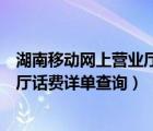 湖南移动网上营业厅话费详单查询电话（湖南移动网上营业厅话费详单查询）