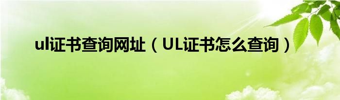 ul证书查询网址（UL证书怎么查询）