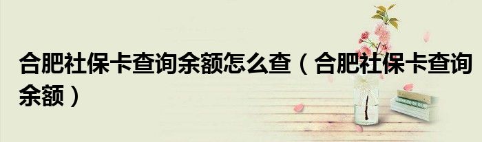 合肥社保卡查询余额怎么查（合肥社保卡查询余额）