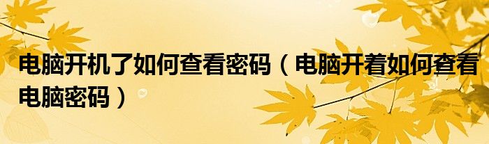 电脑开机了如何查看密码（电脑开着如何查看电脑密码）