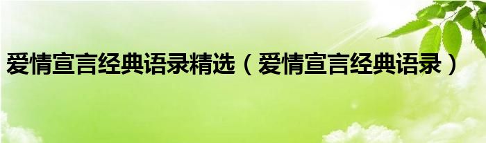 爱情宣言经典语录精选（爱情宣言经典语录）