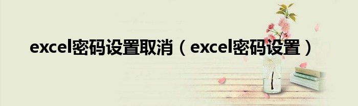 excel密码设置取消（excel密码设置）