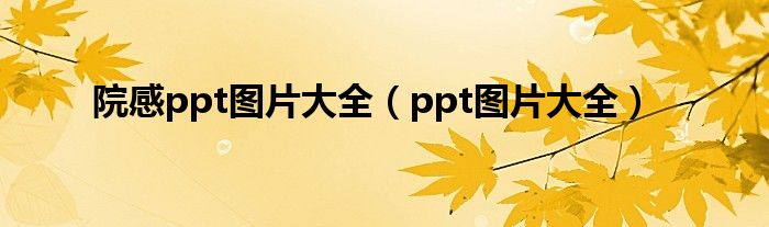 院感ppt图片大全（ppt图片大全）