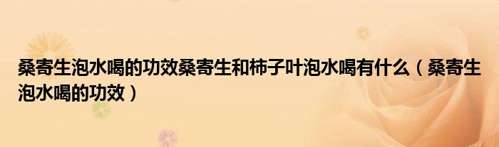 桑寄生泡水喝的功效桑寄生和柿子叶泡水喝有什么（桑寄生泡水喝的功效）