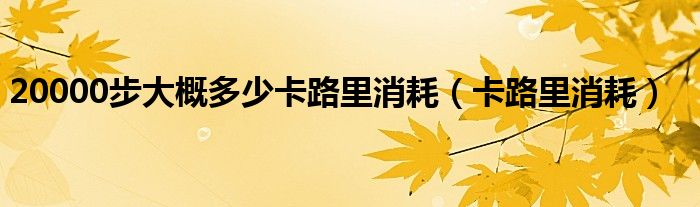 20000步大概多少卡路里消耗（卡路里消耗）