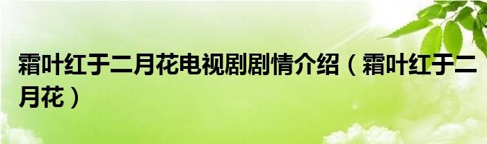 霜叶红于二月花电视剧剧情介绍（霜叶红于二月花）