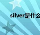 silver是什么意思（gold是什么意思）