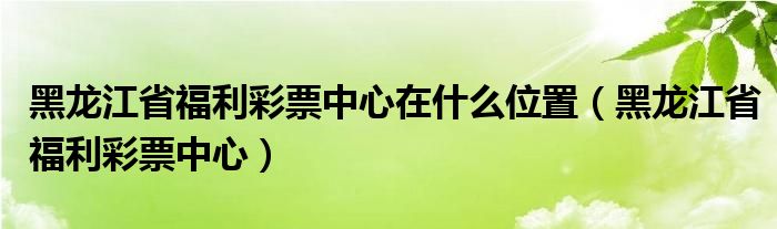 黑龙江省福利彩票中心在什么位置（黑龙江省福利彩票中心）