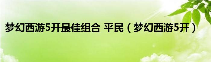 梦幻西游5开最佳组合 平民（梦幻西游5开）