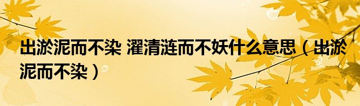 出淤泥而不染 濯清涟而不妖什么意思（出淤泥而不染）