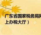 广东省国家税务局网上办税大厅394（广东省国家税务局网上办税大厅）