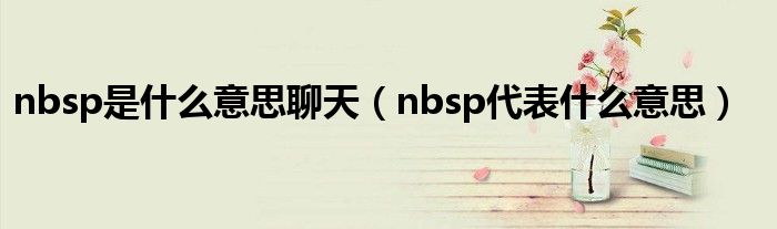 nbsp是什么意思聊天（nbsp代表什么意思）