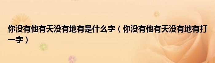 你没有他有天没有地有是什么字（你没有他有天没有地有打一字）