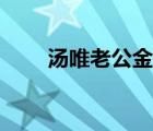 汤唯老公金泰勇简历（汤唯的老公）