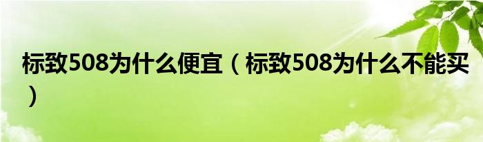 标致508为什么便宜（标致508为什么不能买）