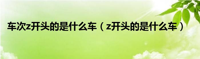 车次z开头的是什么车（z开头的是什么车）