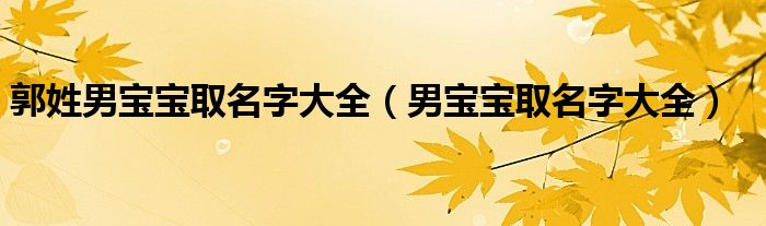 郭姓男宝宝取名字大全（男宝宝取名字大全）