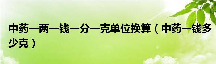 中药一两一钱一分一克单位换算（中药一钱多少克）