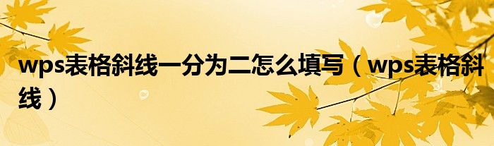 wps表格斜线一分为二怎么填写（wps表格斜线）