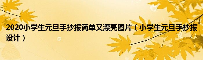 2020小学生元旦手抄报简单又漂亮图片（小学生元旦手抄报设计）