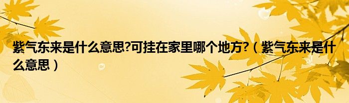 紫气东来是什么意思?可挂在家里哪个地方?（紫气东来是什么意思）