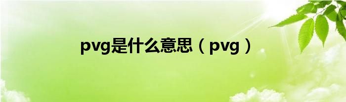 pvg是什么意思（pvg）