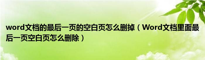 word文档的最后一页的空白页怎么删掉（Word文档里面最后一页空白页怎么删除）