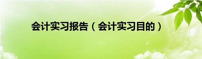 会计实习报告（会计实习目的）