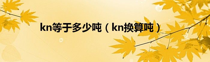 kn等于多少吨（kn换算吨）