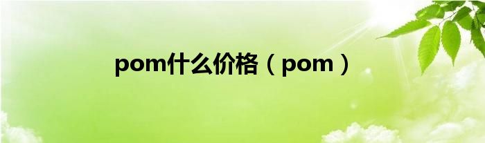 pom什么价格（pom）