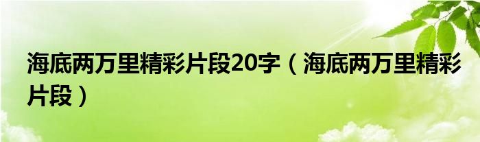 海底两万里精彩片段20字（海底两万里精彩片段）