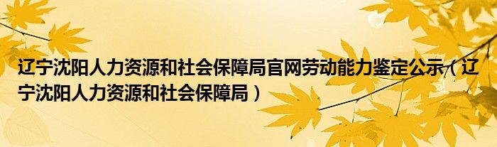 辽宁沈阳人力资源和社会保障局官网劳动能力鉴定公示（辽宁沈阳人力资源和社会保障局）