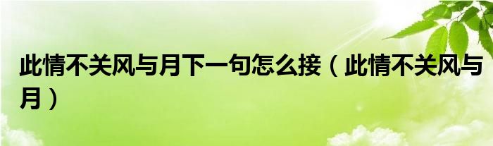 此情不关风与月下一句怎么接（此情不关风与月）