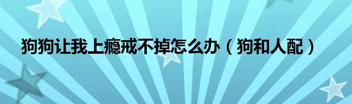 狗狗让我上瘾戒不掉怎么办（狗和人配）